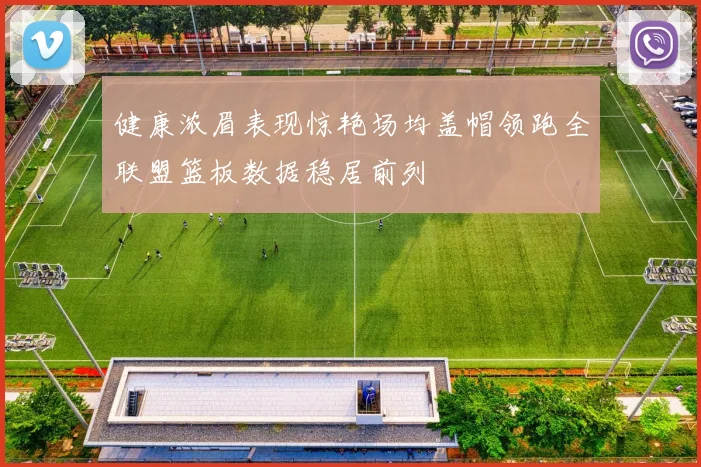 健康浓眉表现惊艳场均盖帽领跑全联盟篮板数据稳居前列