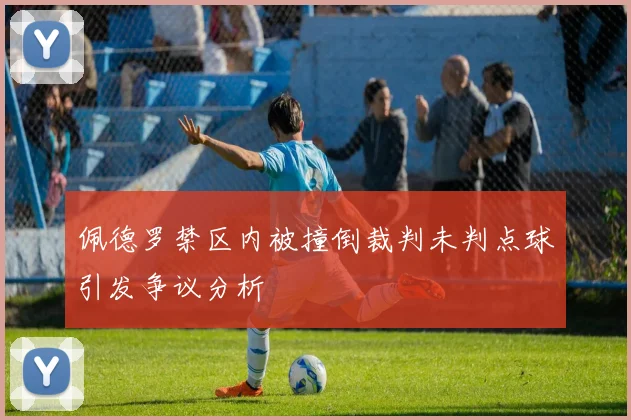 佩德罗禁区内被撞倒裁判未判点球引发争议分析